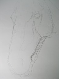 Horse sketch - sold
