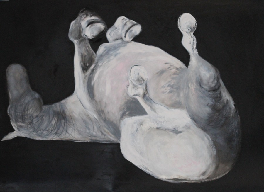 Rolling Horse 122 x 152cm (unframed)
oil, graphite & charcoal on fabriano paper